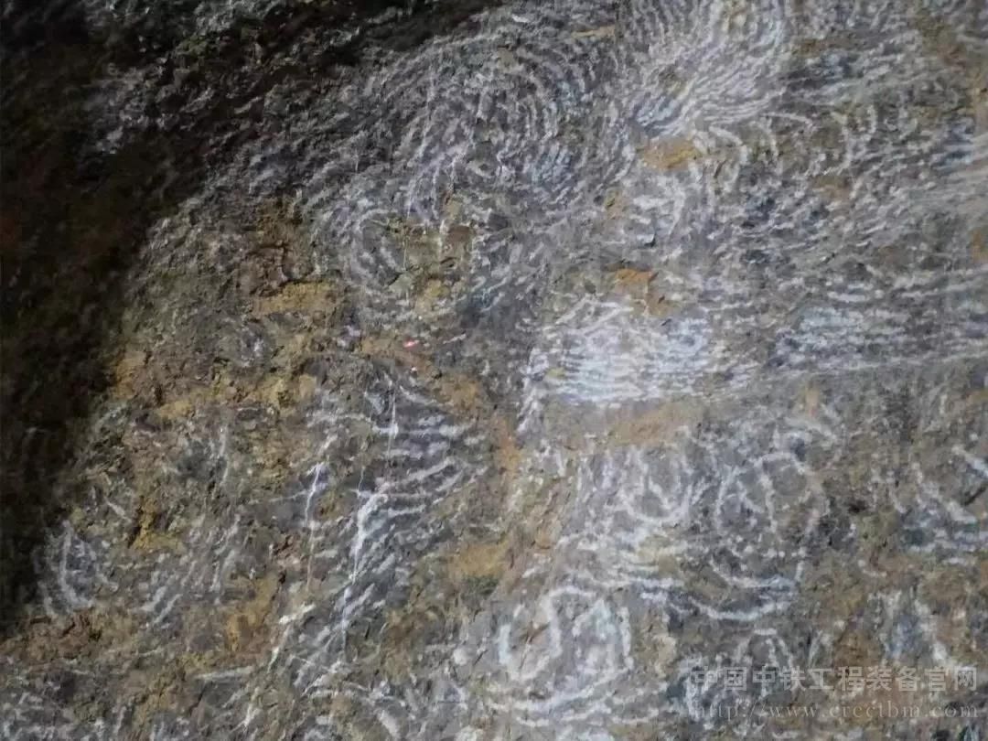 1576140288688704.jpg 微信图片_20191212164226.jpg